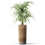 Plants collection 1091