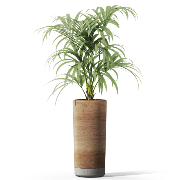 Plants collection 1091