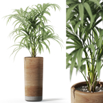 Plants collection 1091