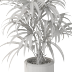 Plants collection 1091