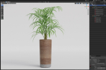 Plants collection 1091