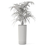 Plants collection 1091
