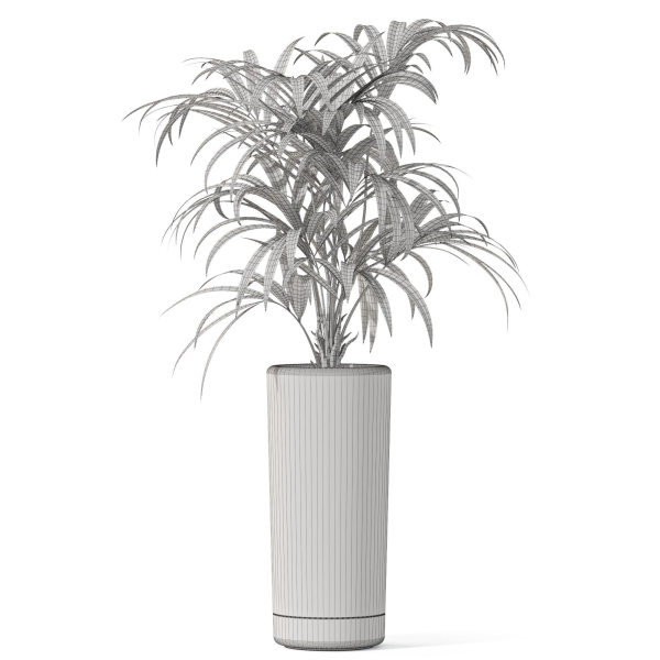 Plants collection 1091