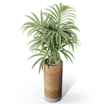 Plants collection 1091