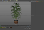 Plants collection 1092