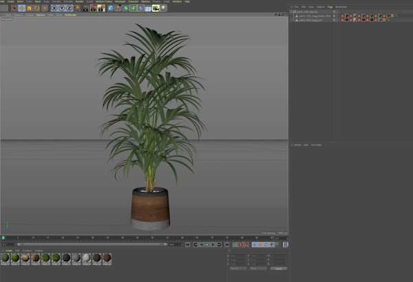Plants collection 1092