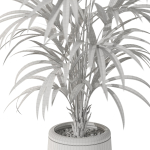 Plants collection 1092
