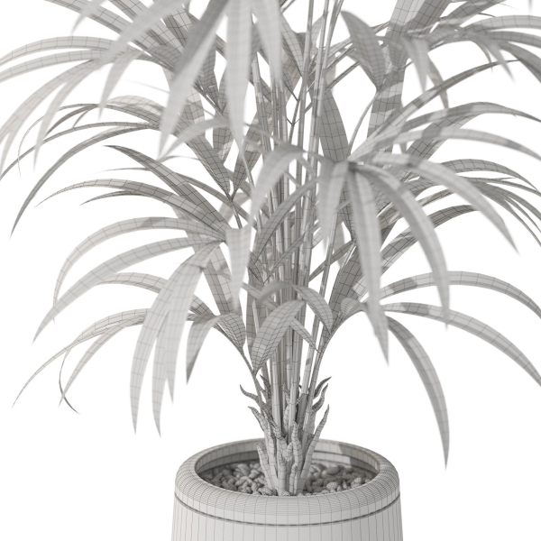 Plants collection 1092