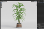Plants collection 1092