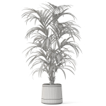 Plants collection 1092