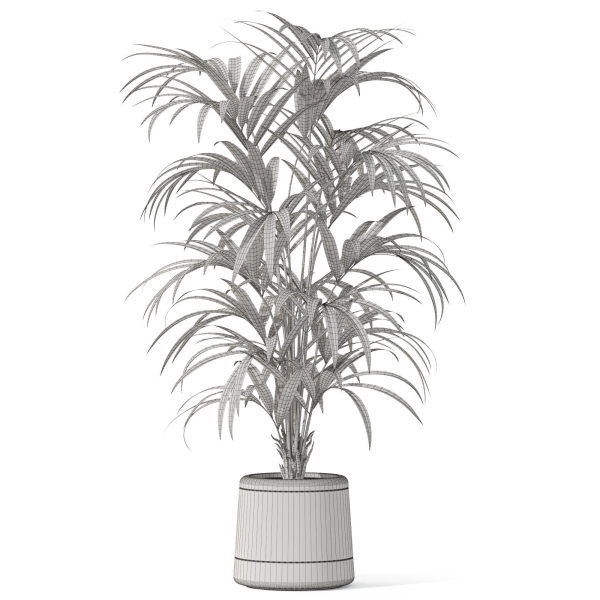 Plants collection 1092