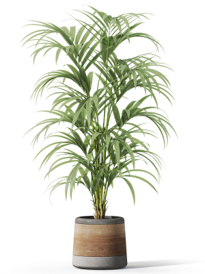 plants-collection-1092-3d-model-cae2b1d9b5