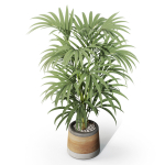 Plants collection 1092