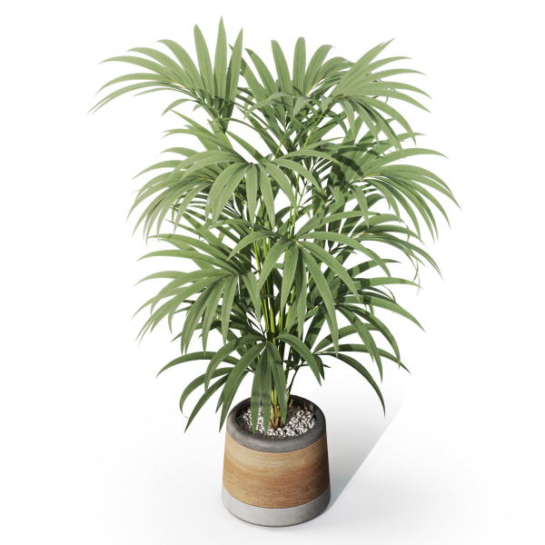 Plants collection 1092