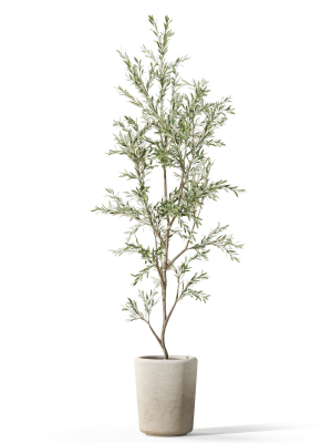 plants-collection-1093-3d-model-625380be0c