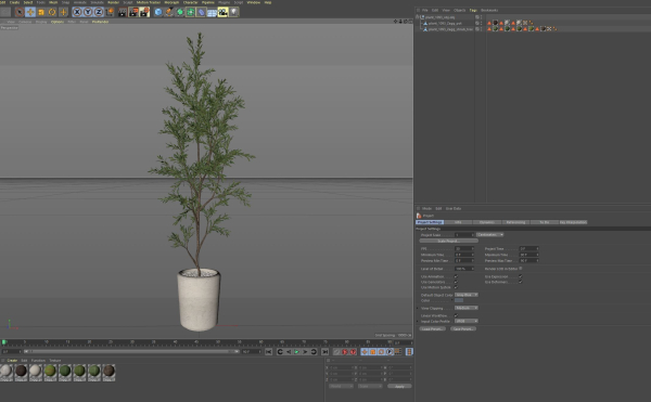 Plants collection 1093