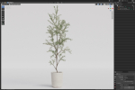 Plants collection 1093