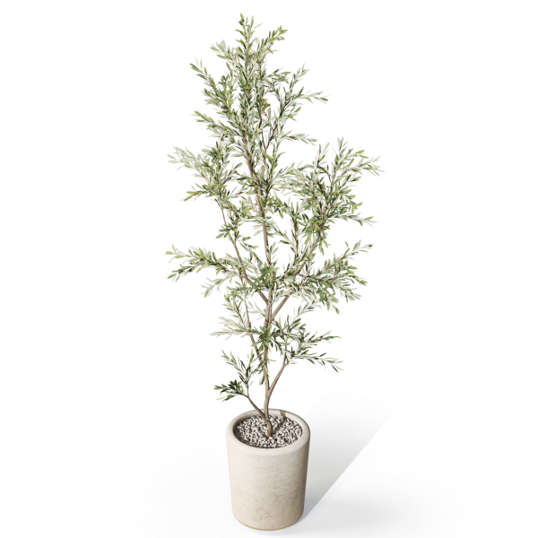 Plants collection 1093