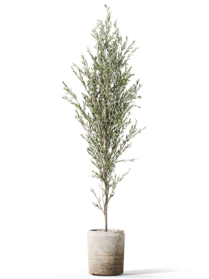 plants-collection-1094-3d-model-174476b8a7