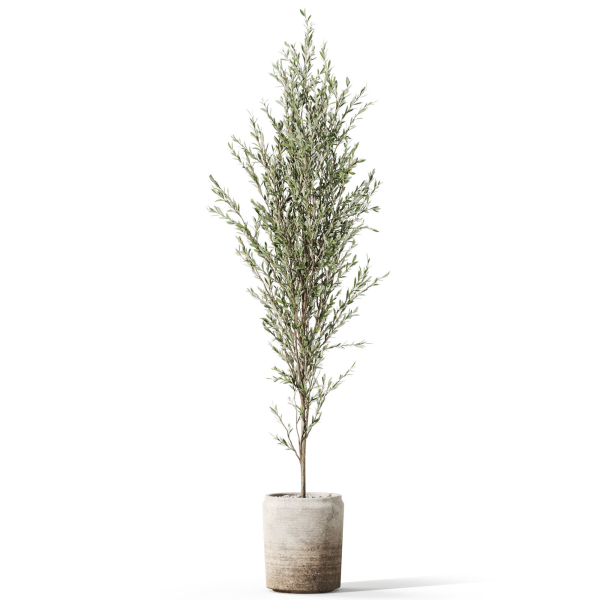 Plants collection 1094