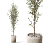 Plants collection 1094