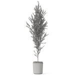 Plants collection 1094