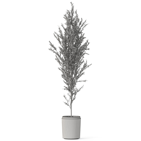 Plants collection 1094