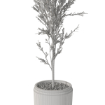 Plants collection 1094
