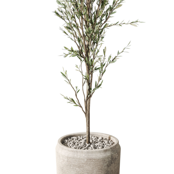 Plants collection 1094