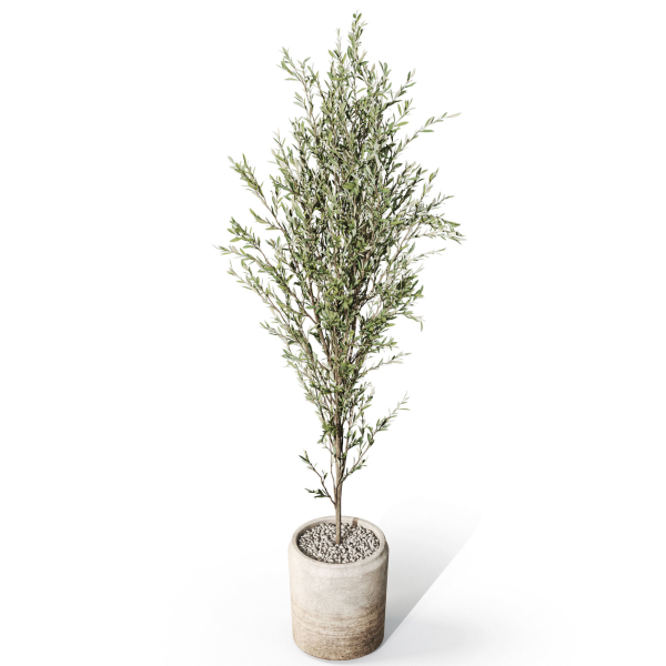 Plants collection 1094