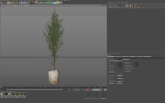 Plants collection 1094