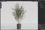 Plants collection 1095