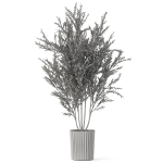 Plants collection 1095