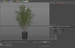 Plants collection 1095