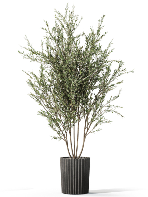 plants-collection-1095-3d-model-b8f9ff8c95