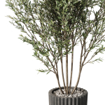 Plants collection 1095