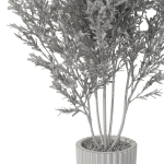 Plants collection 1095