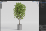 Plants collection 1096
