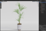 Plants collection 1097