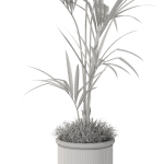 Plants collection 1097