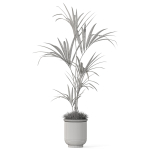 Plants collection 1097