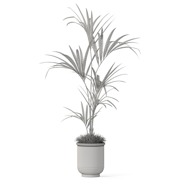 Plants collection 1097