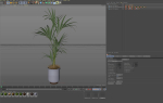 Plants collection 1097