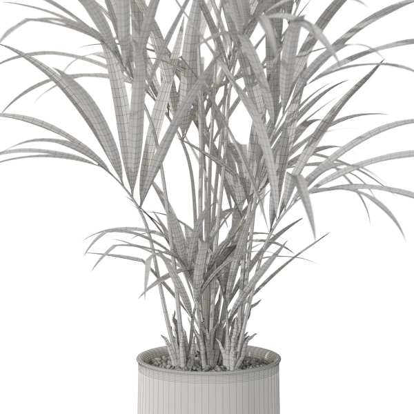 Plants collection 1098
