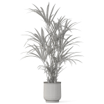 Plants collection 1098