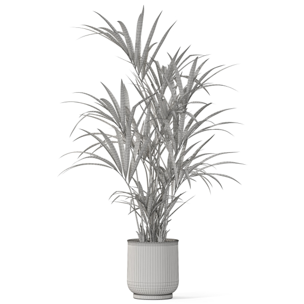 Plants collection 1098