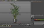 Plants collection 1098