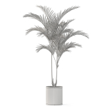 Plants collection 1099
