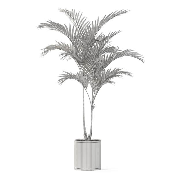 Plants collection 1099