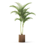 Plants collection 1099